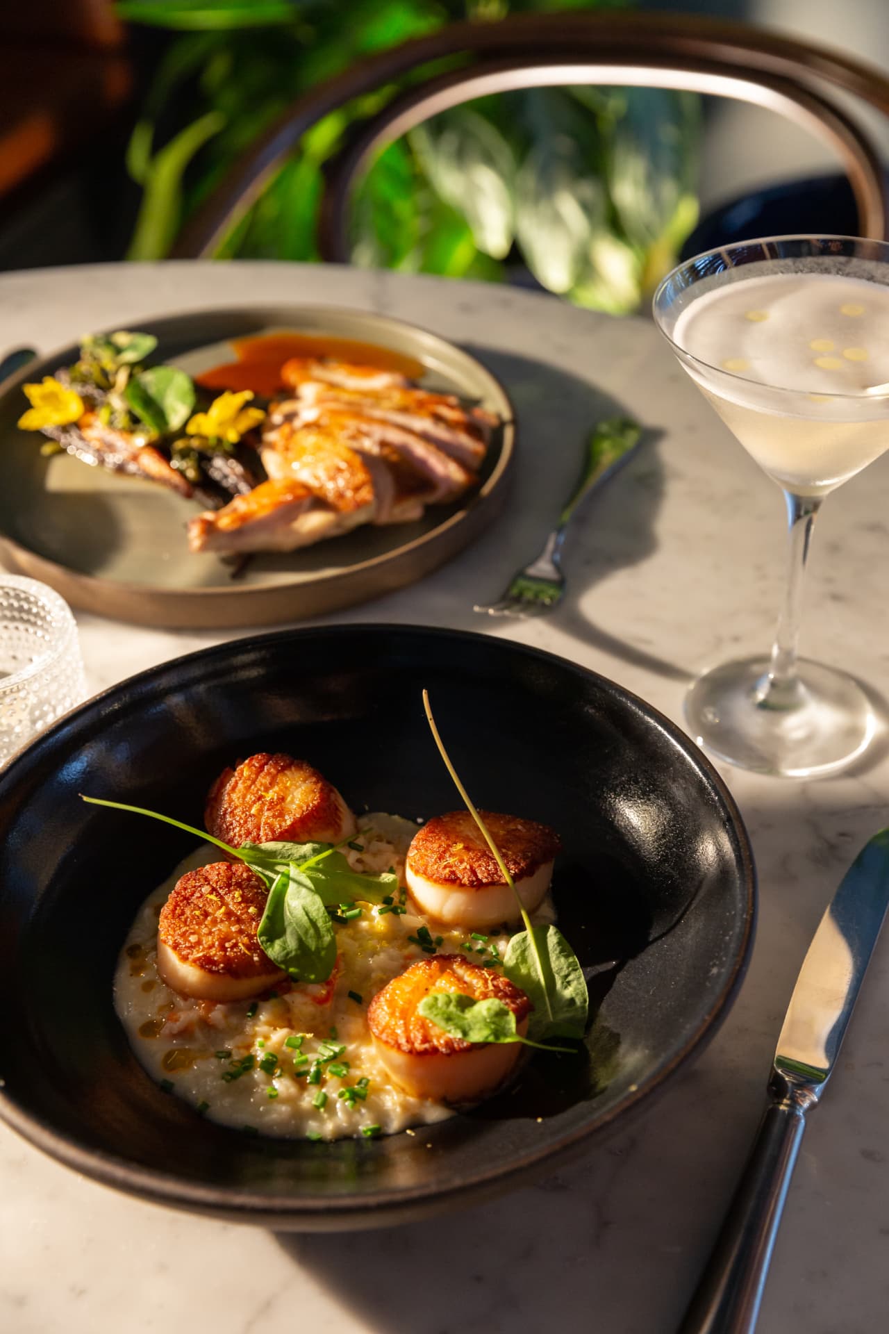 Seared scallops over risotto with roast chicken and a martini